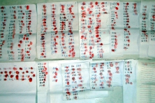 2013-1-30-minghui-falun-gong-tangshan-01