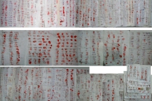 2013-3-18-cmh-6564-zhengdin-1