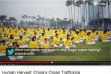 2015-4-8-minghui-organ-harvesting-headline