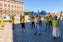 2020 8 4 sweden telling falun gong truth 01