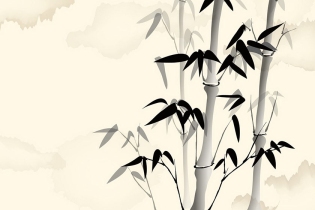 inspiring bamboo