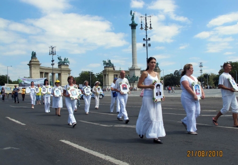 2010-8-22-budapest-parade-03
