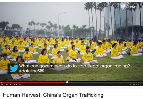 2015-4-8-minghui-organ-harvesting-headline