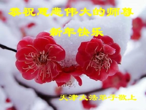 2022-12-23-221221ginxj_01