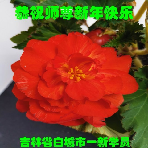 2023-12-29-231226baxkf_01