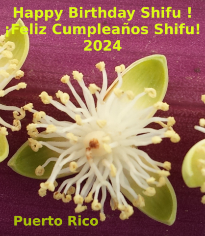 2024-5-11-13may2024shifupuertorico
