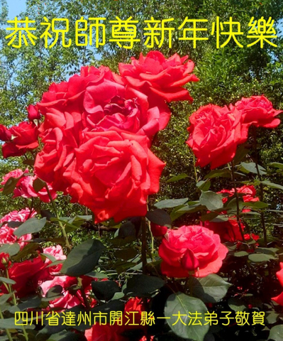 2024-12-25-241223dqglz_01