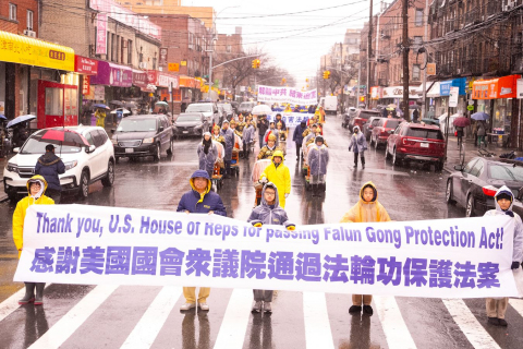 2025-2-17-ny-parade_11