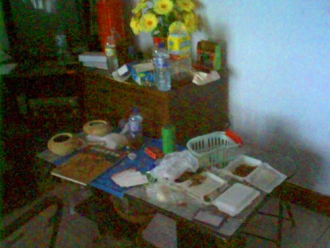 2005-9-20-zhangqinghua-04_di0nS1k.jpg