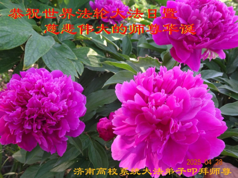 2025-5-9-250501cmtjz_01