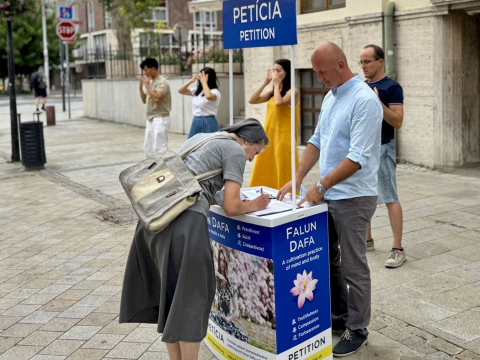 2025-7-9-slovakia-report_02
