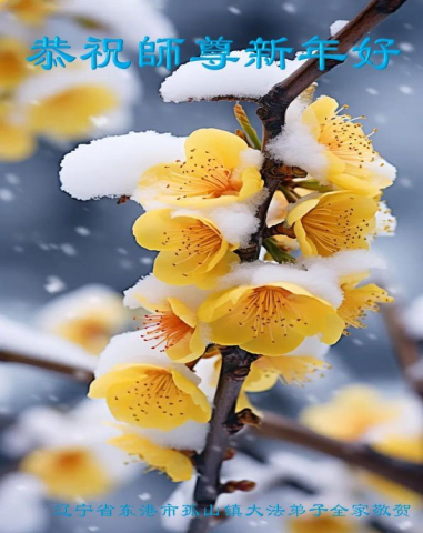 2025-12-16-251212wqksu_01