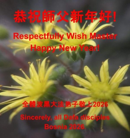 2025-12-31-25122516044994245_01