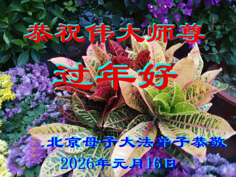 2026-1-23-2601190635465652