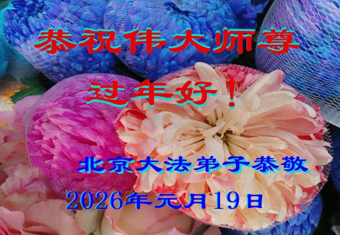 2026-1-23-2601190709048478