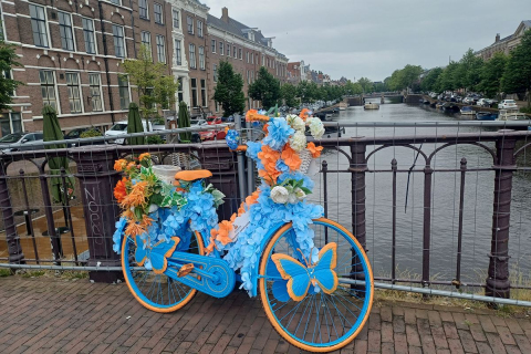 2026-6-10-holland-report_01