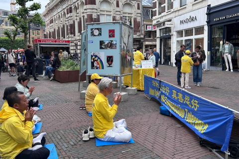 2026-6-10-holland-report_04